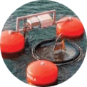 Skimmers