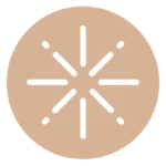 Icon Solutions 150x150